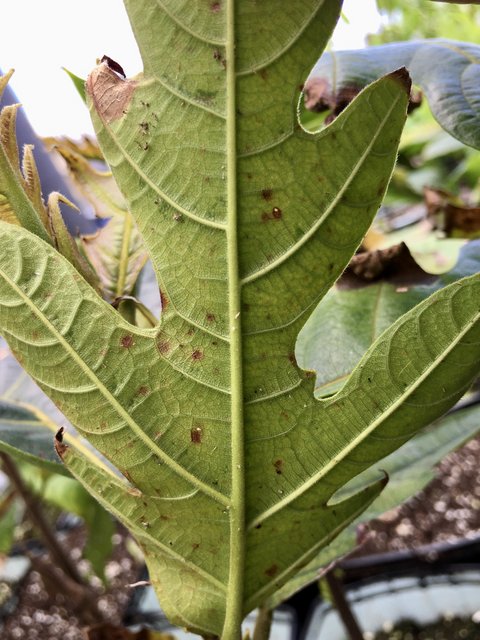 9F126EF8-5040-42BB-A547-B9D044865BA1