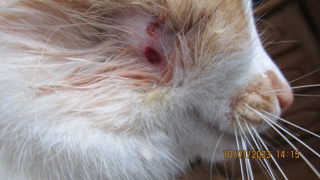 B569E899-2886-4C55-966C-968CD9E0E6EB