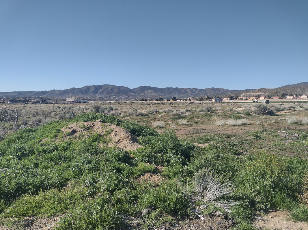 Mountains pushed up by the San Andreas.