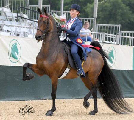 merrywoodphilosopher