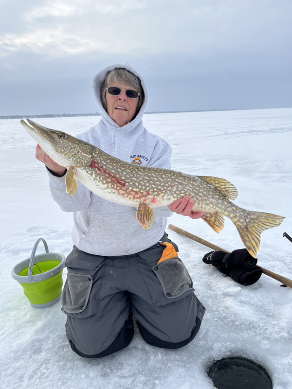 1C688EE0-8F6A-4419-BF21-DBA2AAC59FAA