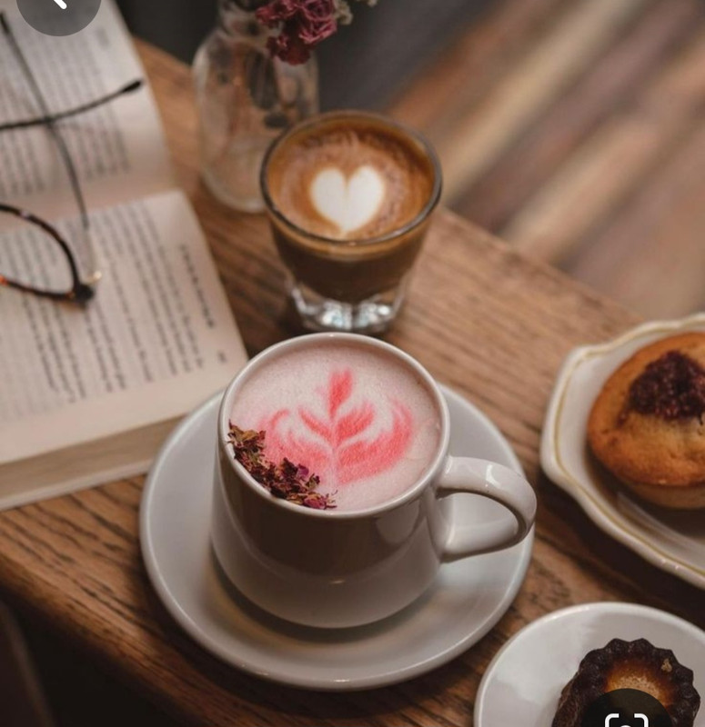 Screenshot_20240203_214421_Pinterest