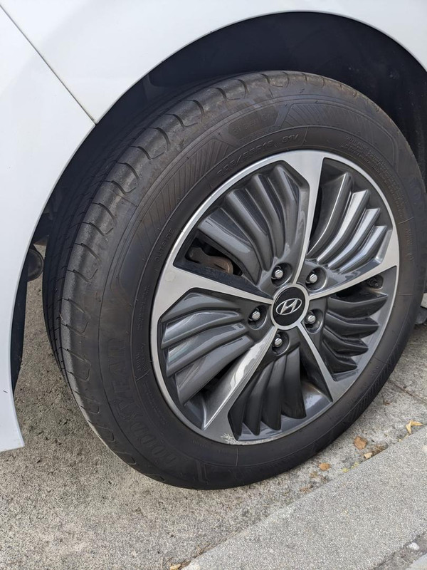 Whats App Image 2026 02 01 at 17 20 04 (1)