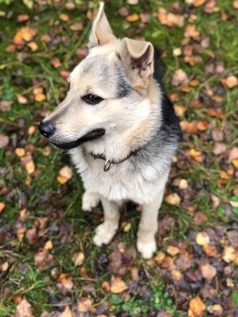 1ZehpiZugLri6Sm67TBewoZ2BS4aK1ZQ