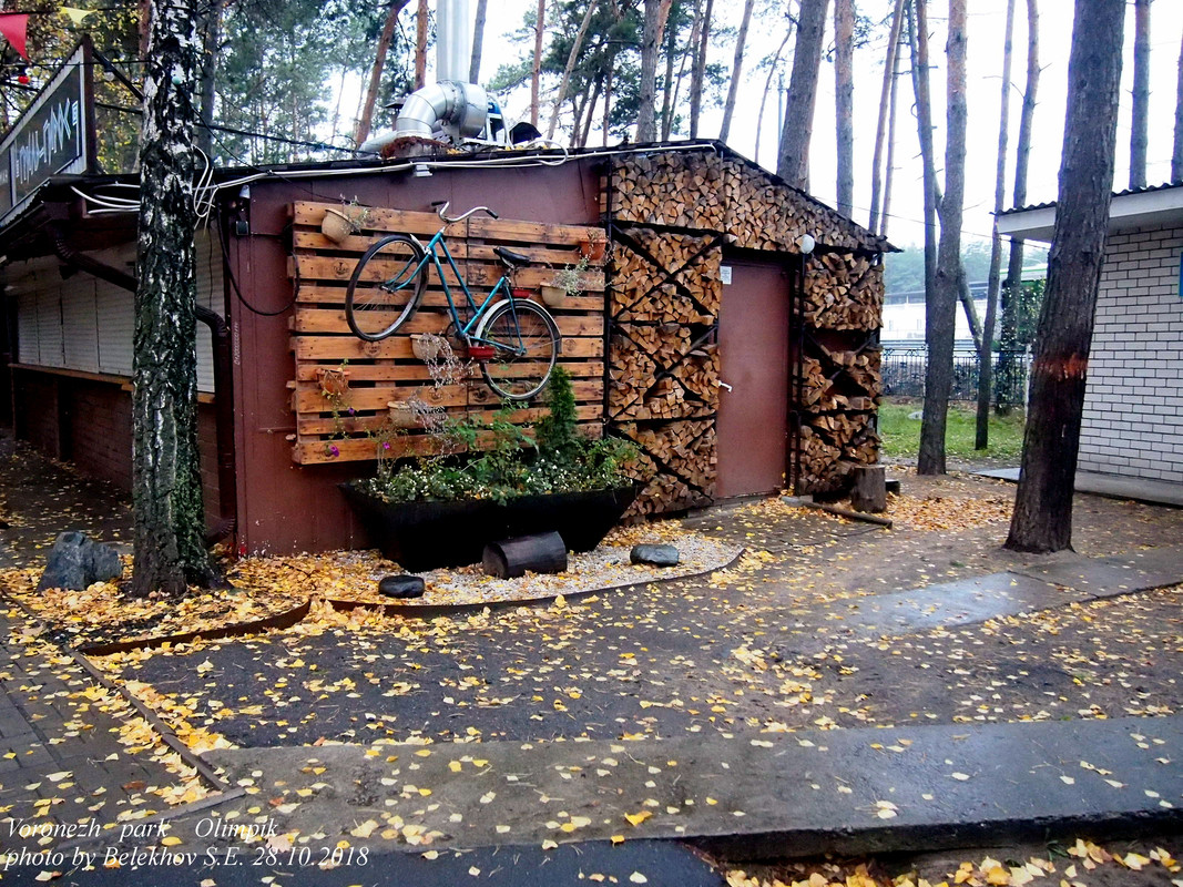 Воронеж, осень, парк