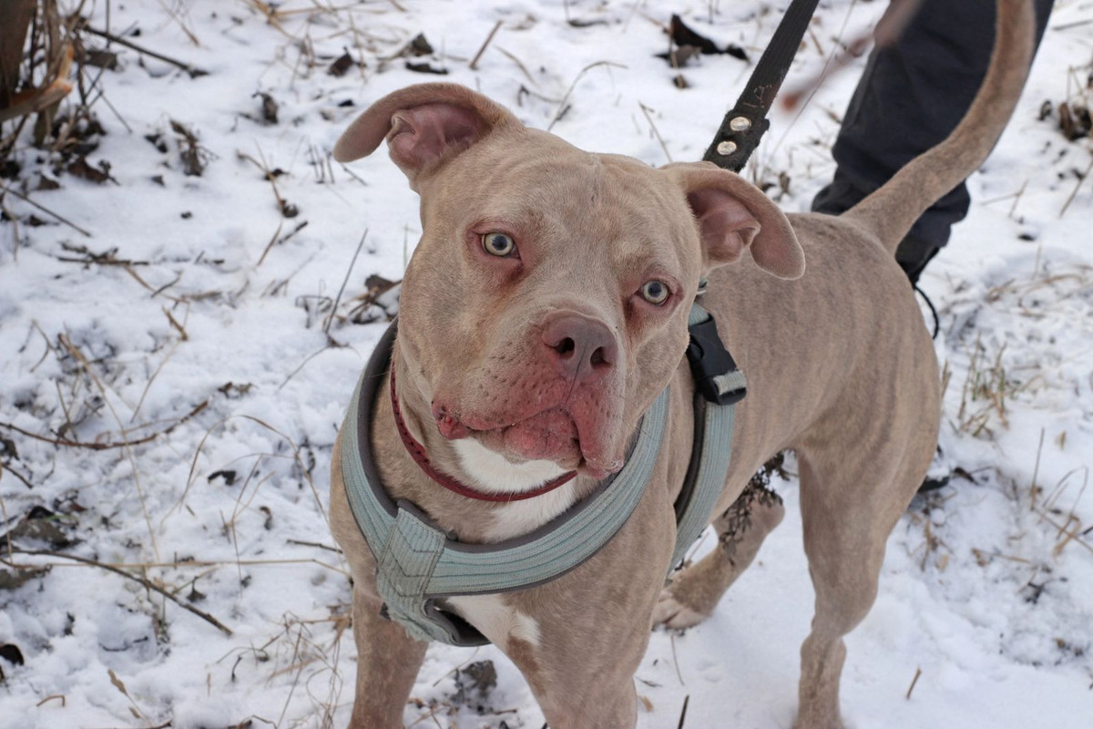 WhatsApp Image 2023-07-31 at 15.26.03 (1)