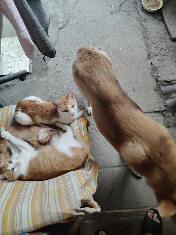 IMG20260520151753.jpg