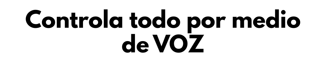 Voz