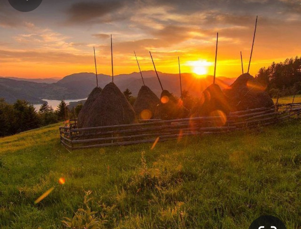 Screenshot_20231119_101417_Pinterest