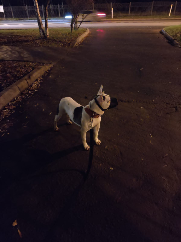 939D34ED-A4B3-4E8A-B423-378C57016301