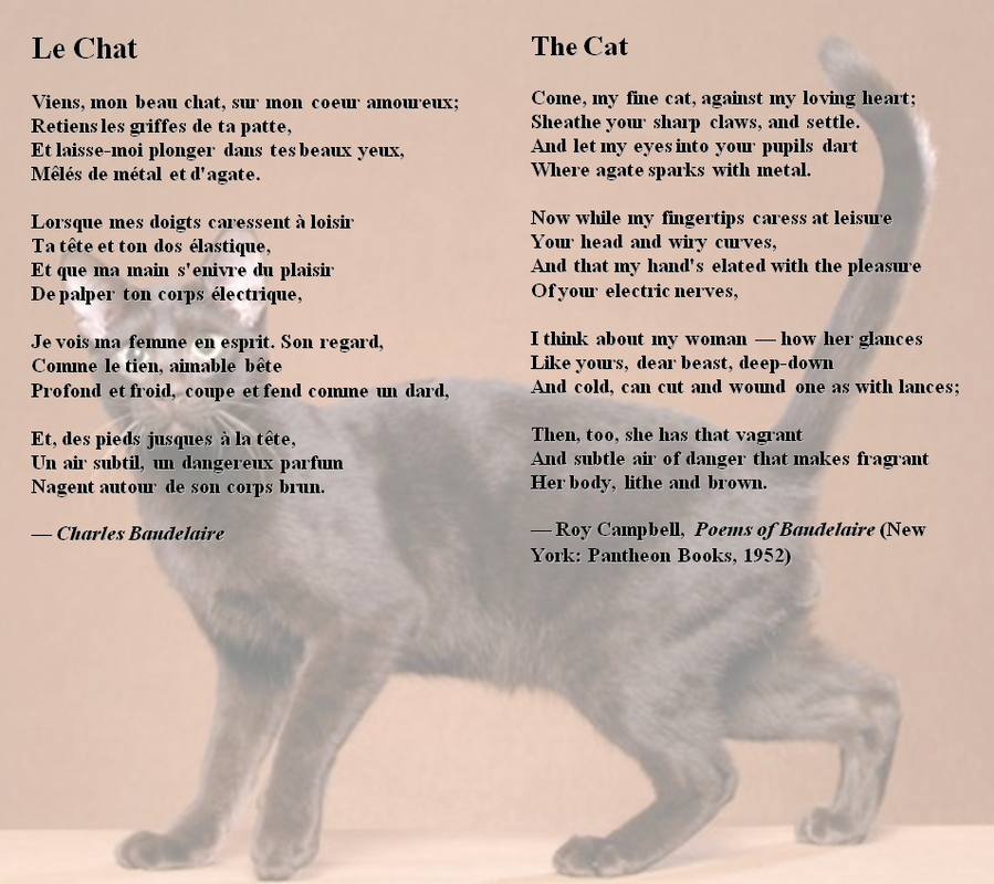 LeChat.png