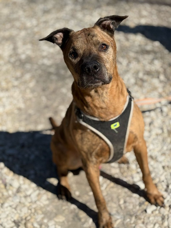 WhatsApp Image 2025-06-20 at 00.22.43 (1)