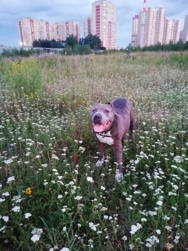 FC633A4A-2322-4786-BCB7-4EC753E69D2E