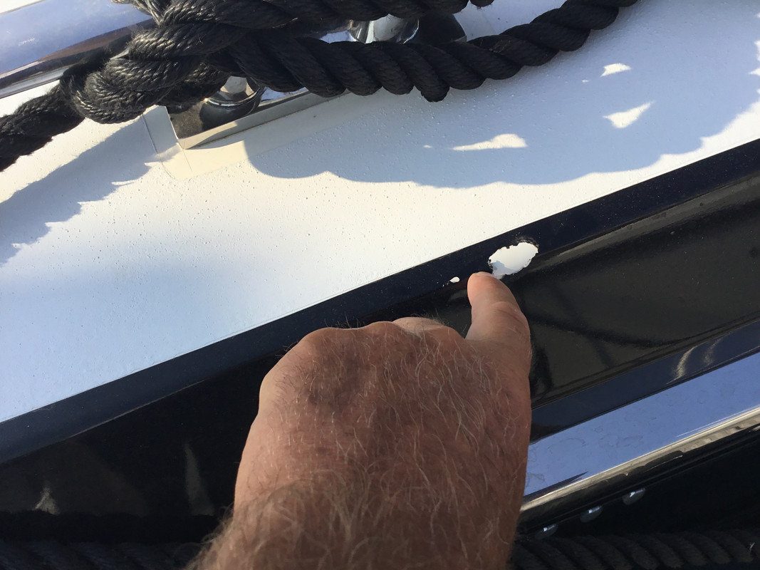 315600E8-2866-43D4-BF37-45E112B35E7C