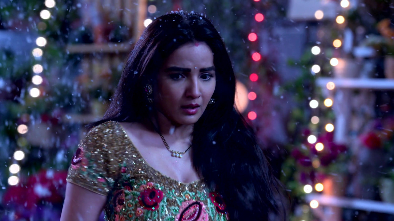 vlcsnap-2021-08-12-19h05m14s889