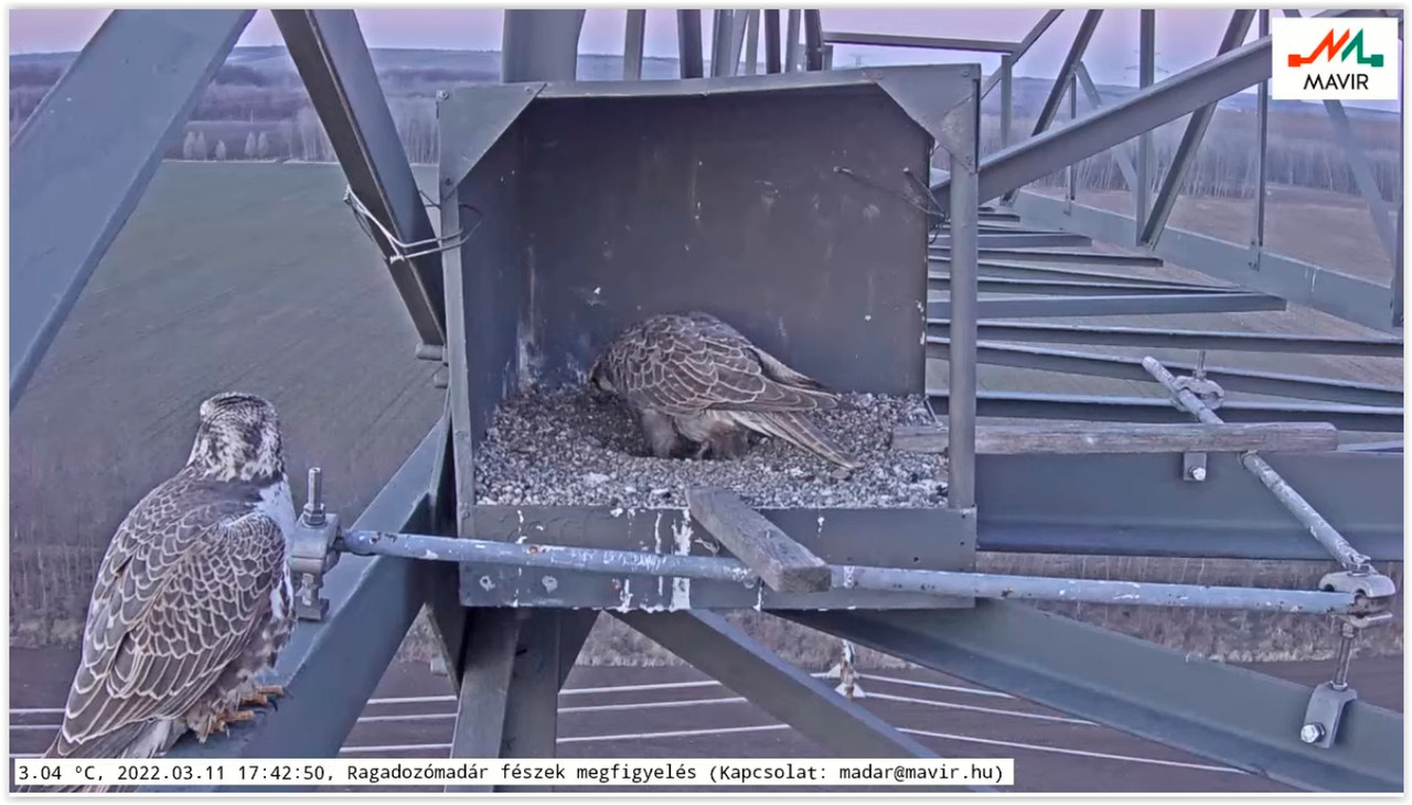 Screen Shot 03-11-22 at 05.43 PM 001