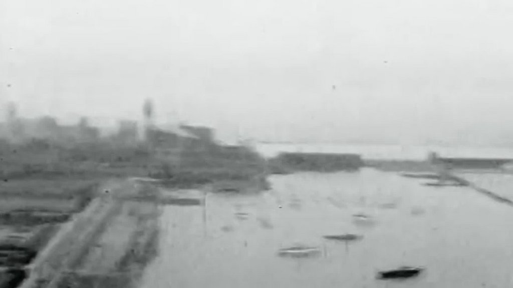 [Image: 0hmubqs0bm09.jpg]