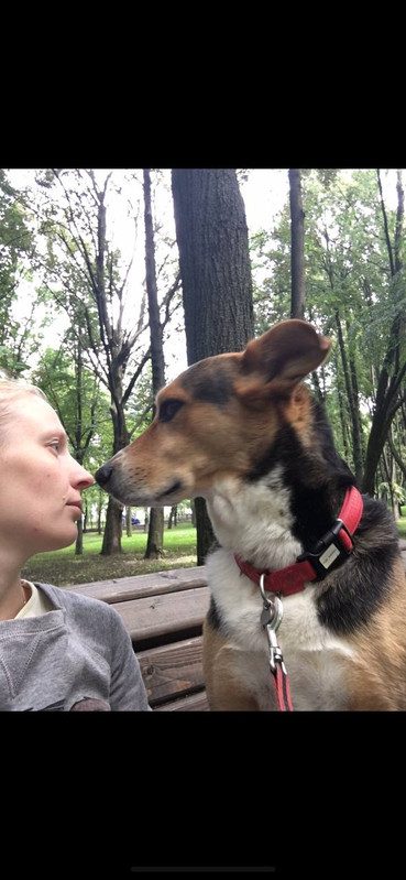 photo 2026 06 24 10 58 53