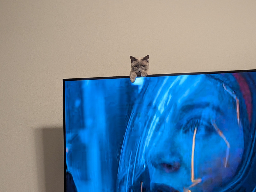 PXL_20251011_034618267