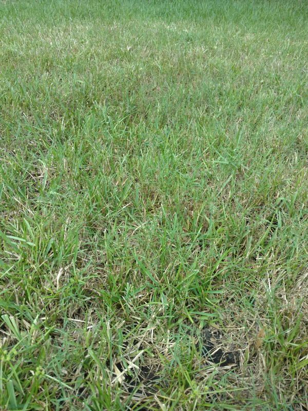 image001 — Postimages