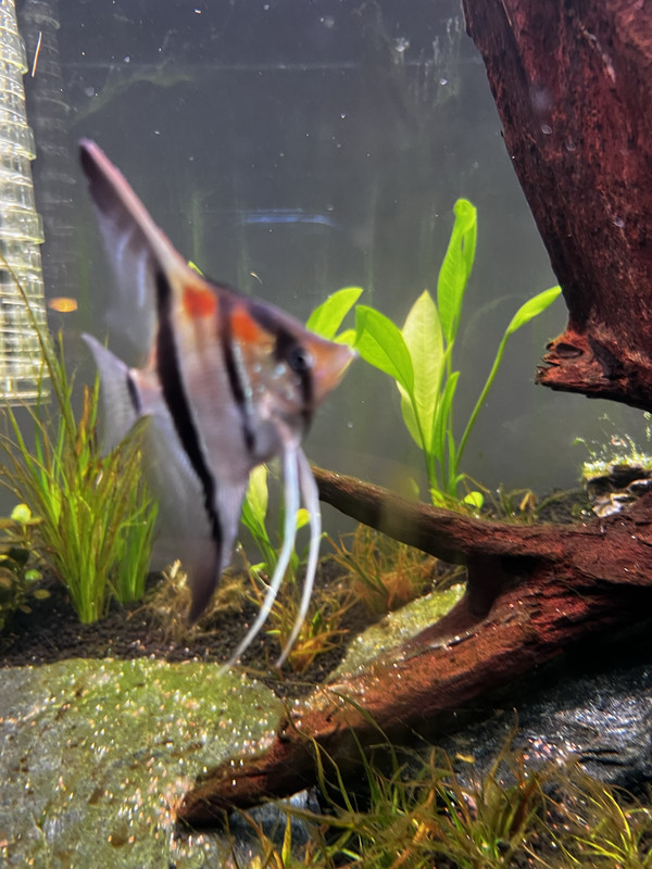 3609D38F-1C30-4A3F-AA0C-3E7520BAFDC9