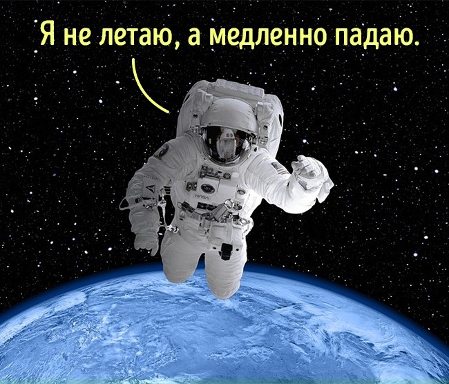 12 доказательств того, что наша жизнь — ложь