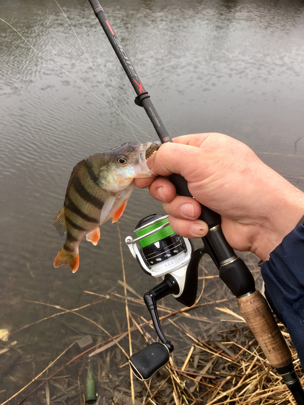 2E2B8B6C-1F8C-442E-AD91-7FFFF59051EF