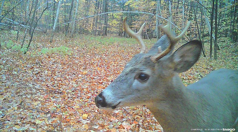 088455CE-C84B-4C66-8FEC-B52902964636