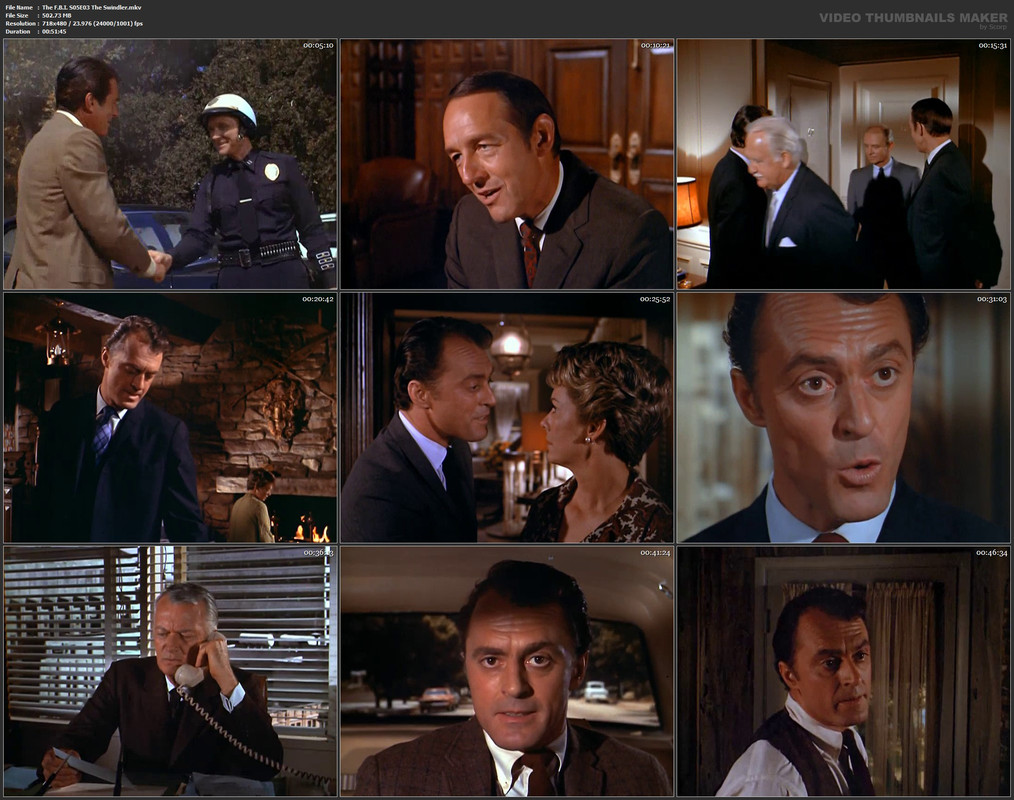 The F.B.I. S05E03 The Swindler.mkv