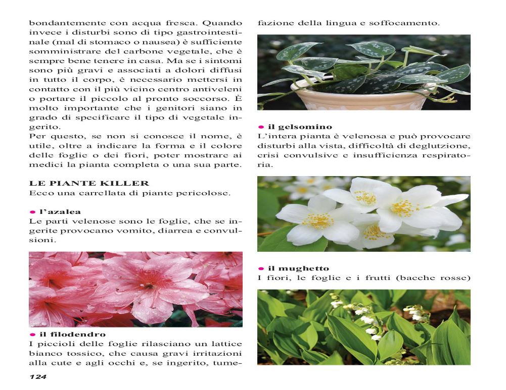 I rimedi della Nonna (2020) 8