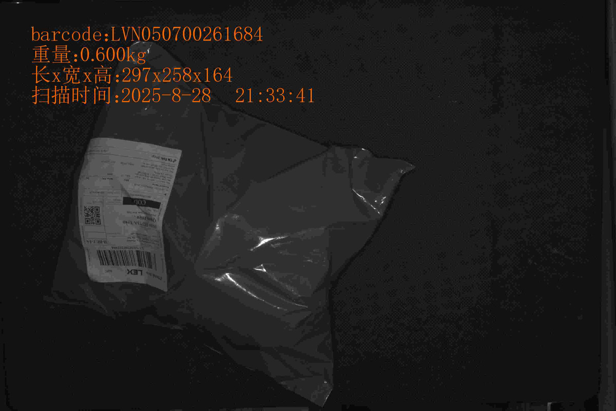 LVN050700261684_297_258_164_0.600_2025_8_28_21_33_41