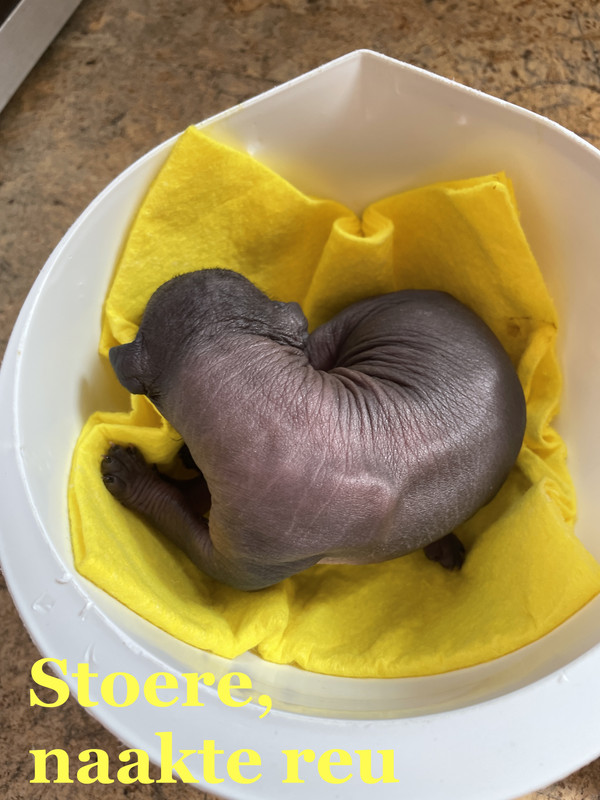 5036DFE6-05F5-4E1F-B1A9-5BE169C2E69F_1_201_a