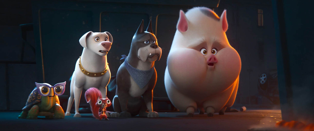 DC League of Super-Pets 2022 BluRay [Hindi + Tamil + Telugu + English] 480p, 720p, 1080p ESub Screenshot