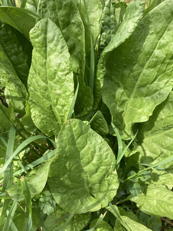 2923A58A-3C7B-4E3B-A94D-64AEA4003E5C