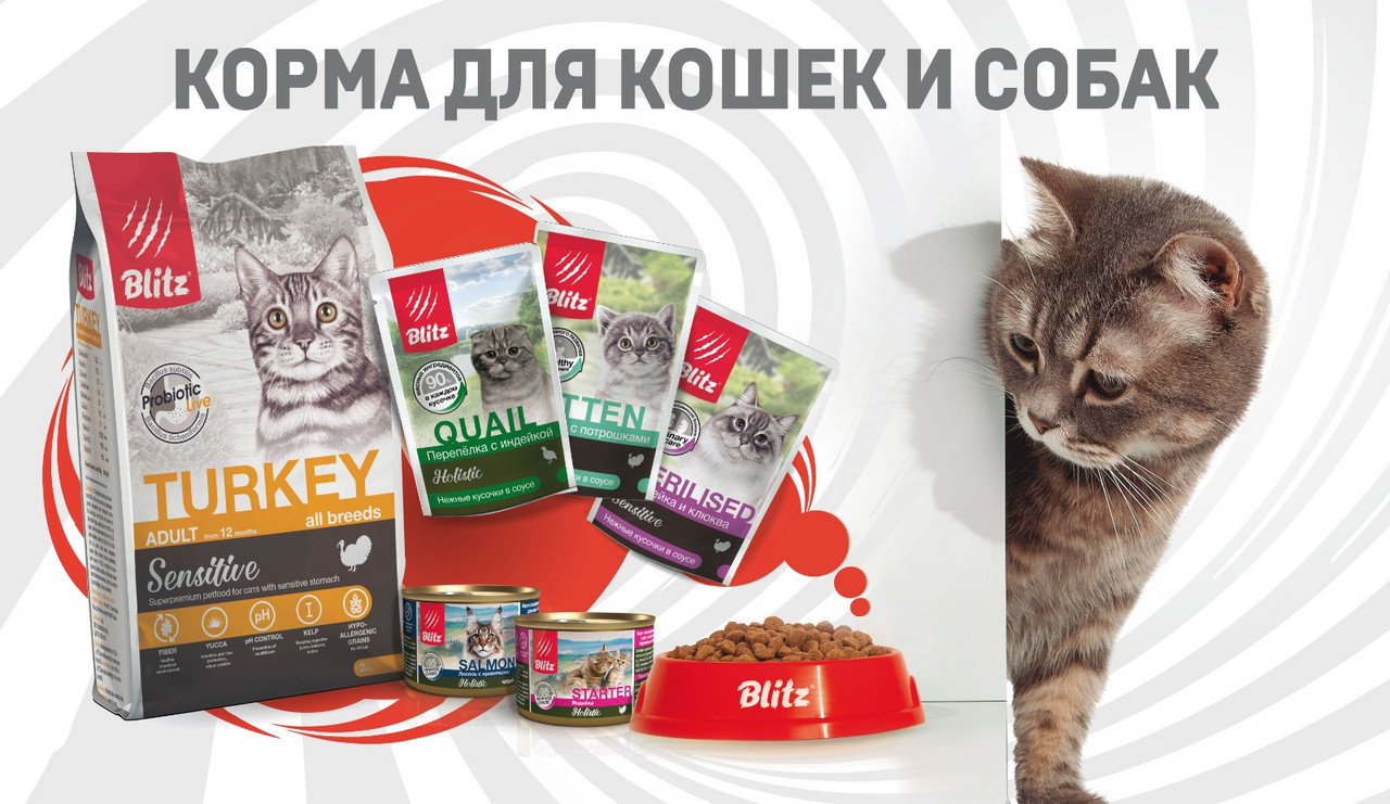 Холистики для кошек