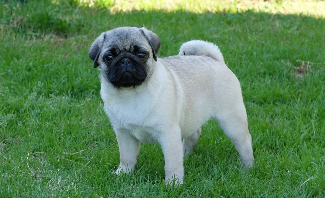 C27435EA-DD9A-474A-B79F-C8227432B653