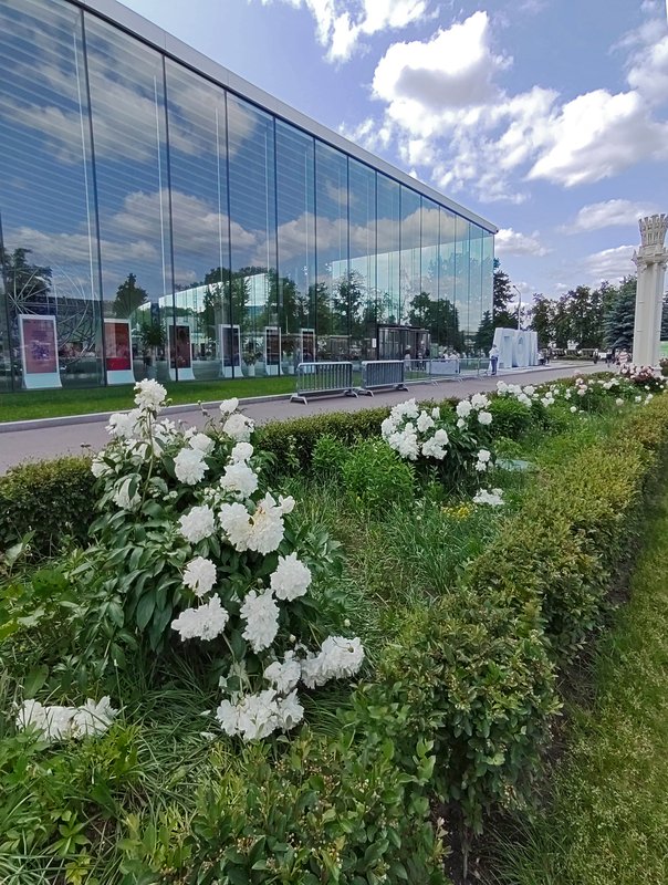 https://i.postimg.cc/bYm9Km1s/12-IMG-20250610-134335.jpg