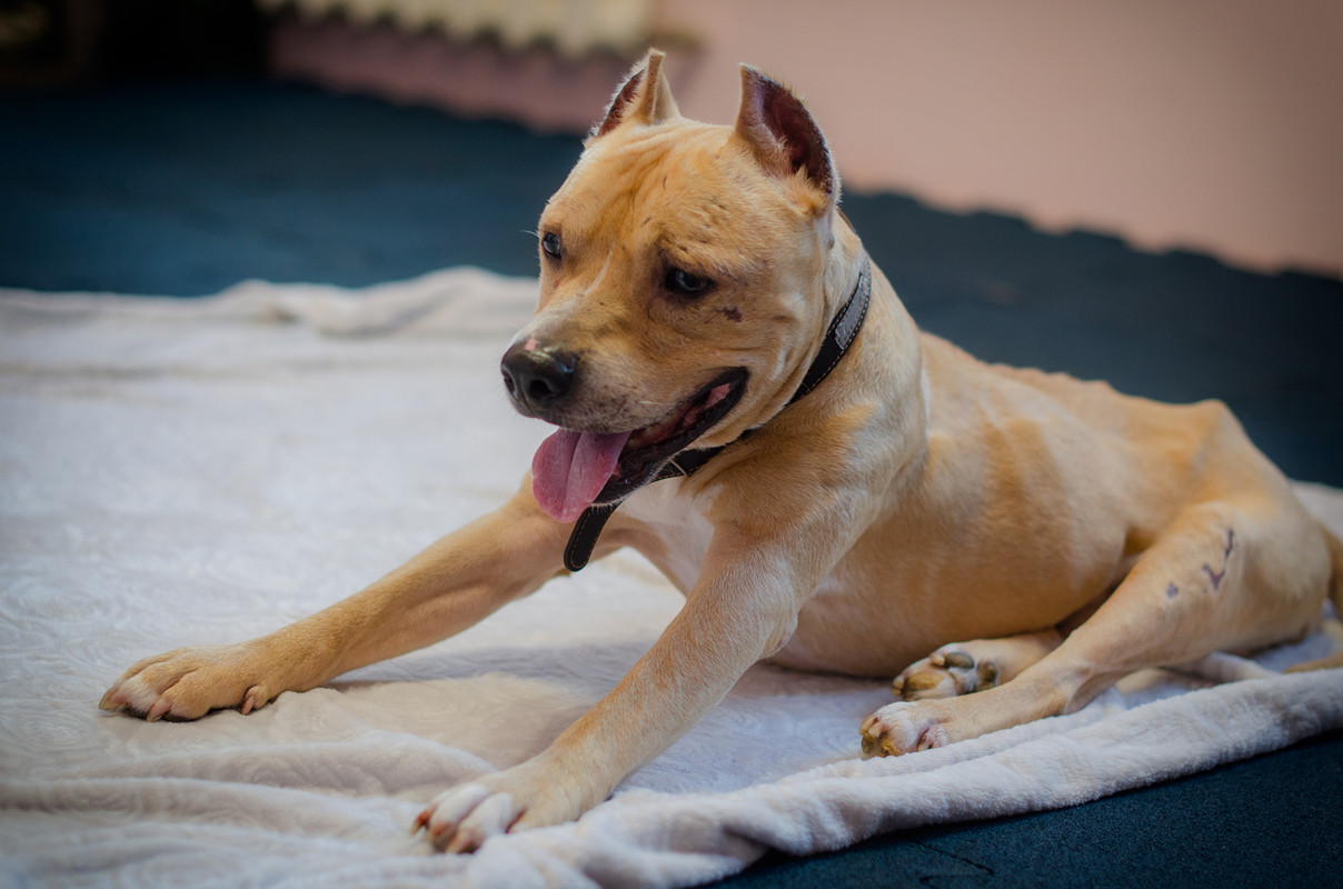 8A08AD7B-8A44-4538-902E-7ACD3298E101