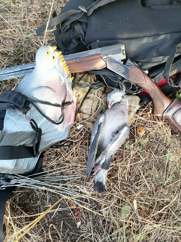 IMG_20250831_175634[1]