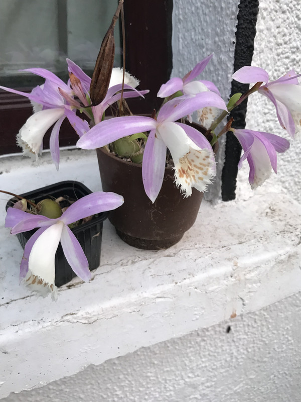 28579EF2-C768-476C-ACD1-6FEBCCB6112F