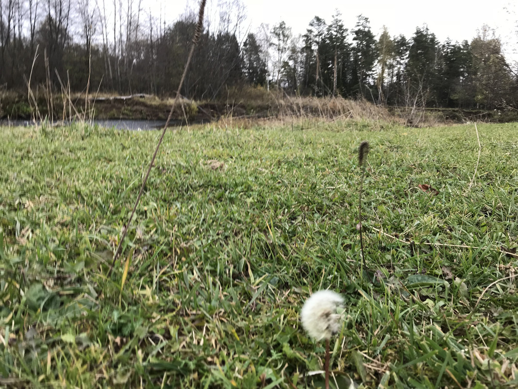 22CD51F8-93AE-43C1-B10A-BE900DC58C6F