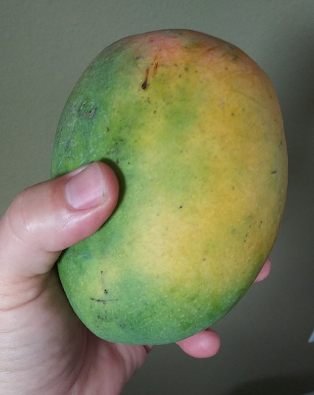 20190619_172624-1