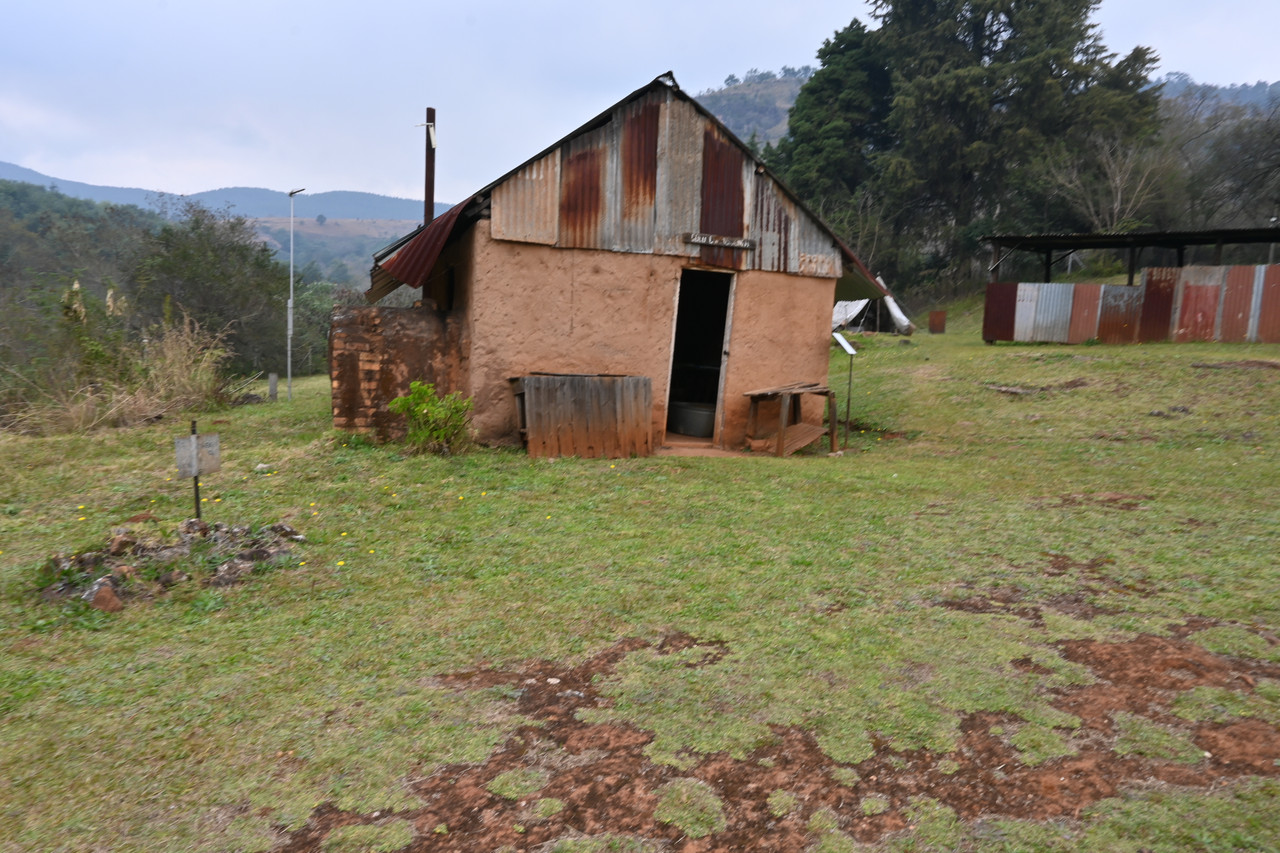 DSC 0830