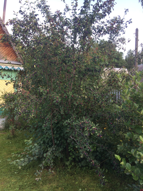 439DDA04-BF1C-4C17-8184-3D3607FFD2B7