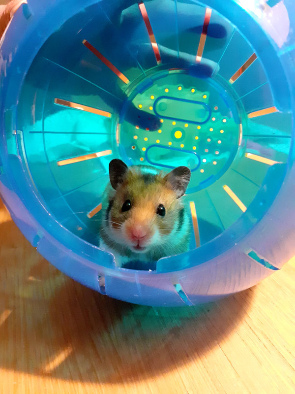 866BCA60-43E1-4D21-A816-A5A660540700