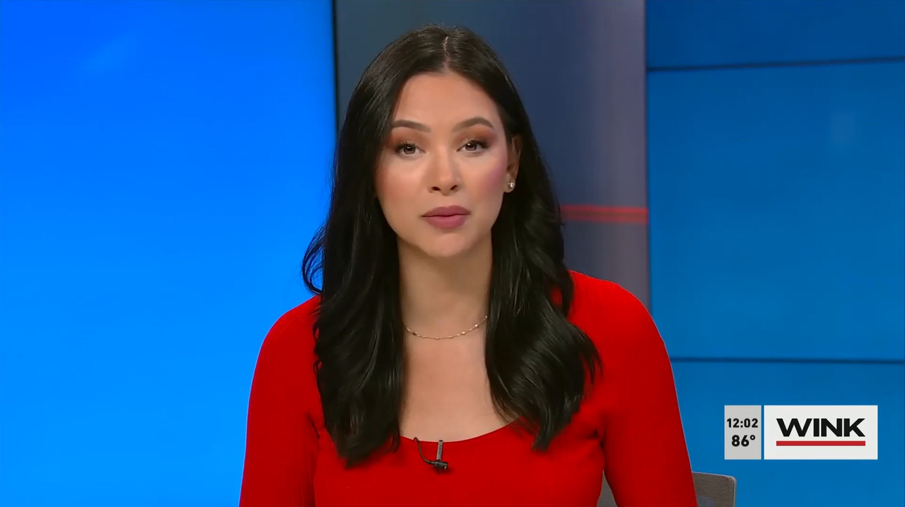 03.27 - 17.00.00 - The Wink Noon News  ᴺᵉʷ. Midday News Update.-1.mp4_snapshot_08.33.833