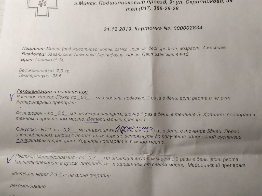 изображение_viber_2019-12-21_15-38-07