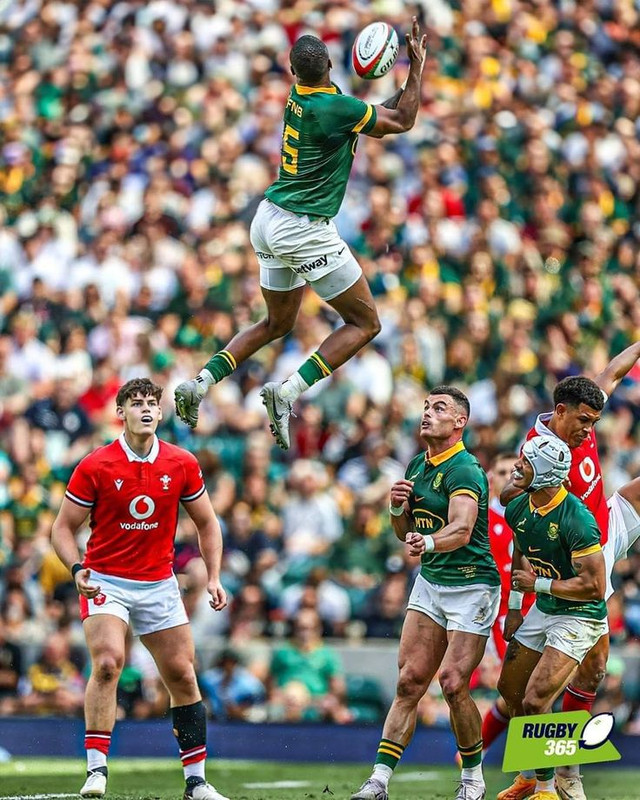 Aphelele Fassi Springboks
