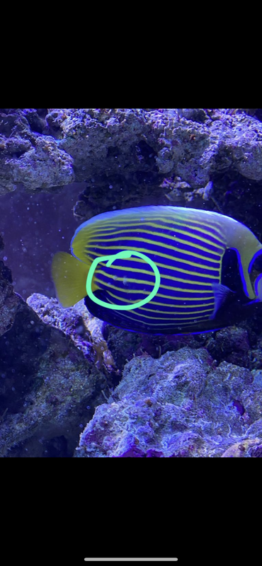 2156B7DE-7354-4D9A-9FD7-DF2E1AED4507