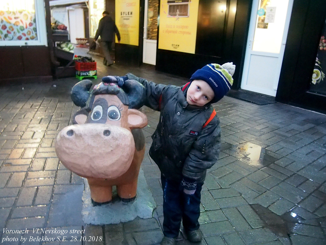 Воронеж, осень Воронеж, осень